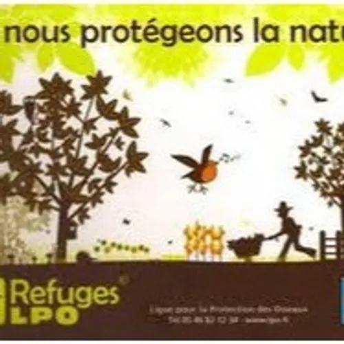 Aider les oiseaux de nos jardins et la biodiversité ?